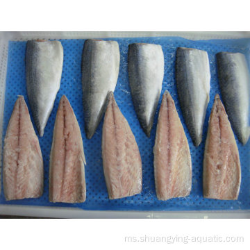 Fillet Ikan Mackerel Frozen Boneless dalam Vakum Dikemas